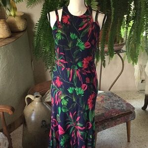 NWT Taylor Maxi Sundress